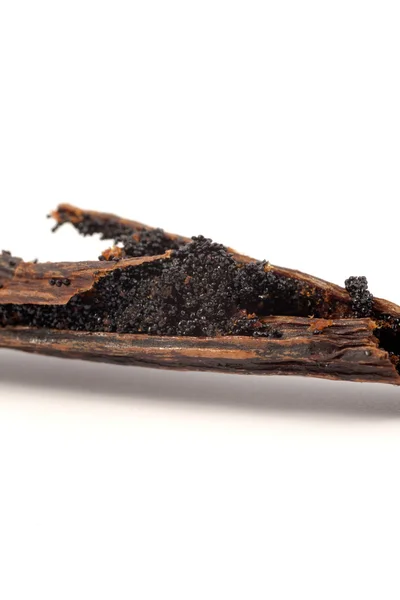 Vanilya fasulye kırık sopa — Stok fotoğraf