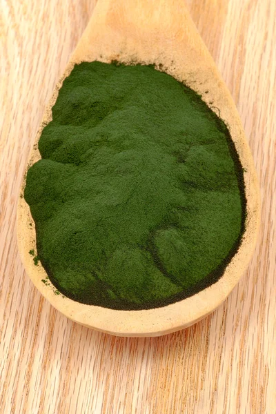 Closeup  organic spirulina algae — Stock Photo, Image
