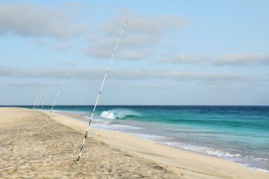 Sahilde olta kamışı