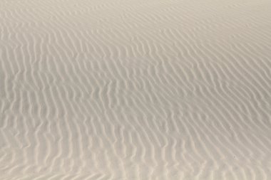 çöl dune