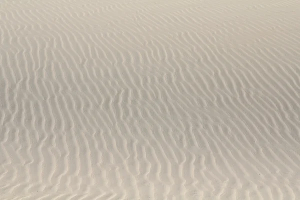 Dune del deserto — Foto Stock