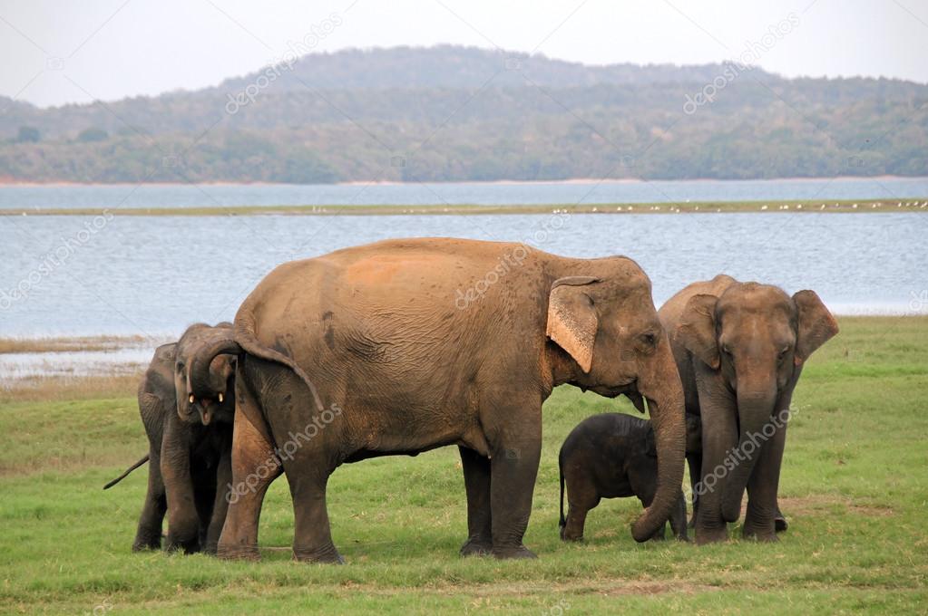 Andaman