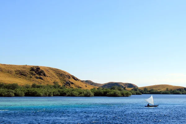 Národní park Komodo — Stock fotografie