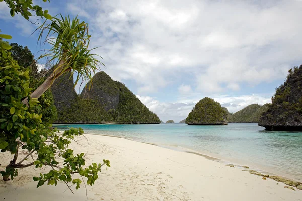 Spiaggia Tropicale Paradisiaca Nell Arcipelago Wayag Raja Ampat Papua Occidentale — Foto Stock