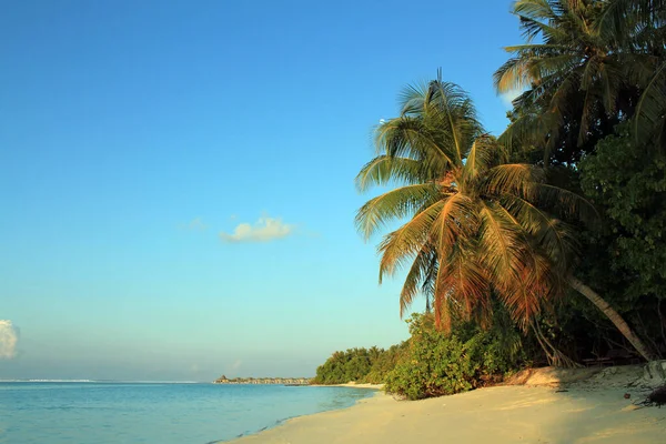 Пляж Солнечного Острова Nalaguraidhoo Южный Атолл Мальдивы — стоковое фото