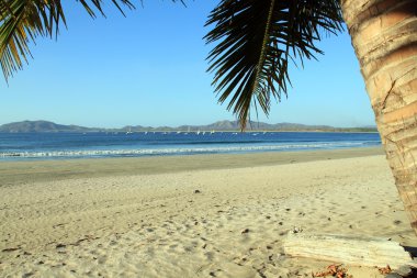 Tamarindo Beach clipart