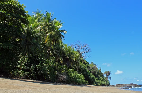 Isla Cano — Foto de Stock