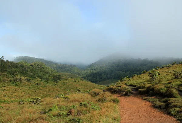 Llanuras de Horton — Foto de Stock