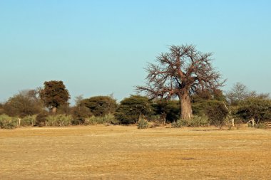 mahangu Milli Parkı