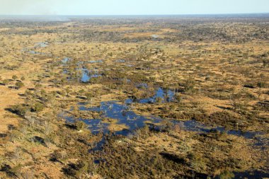 Okavango Delta anteni