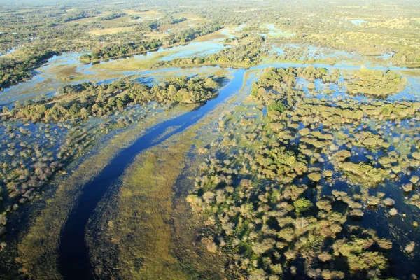 Okavango Delta antenna — Stock Fotó