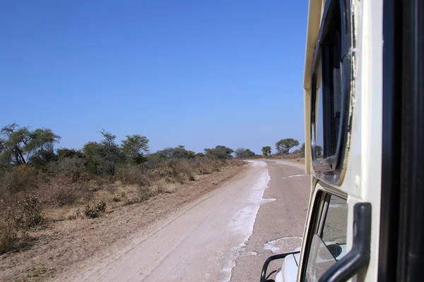 Safari дорога до Khwai — стокове фото