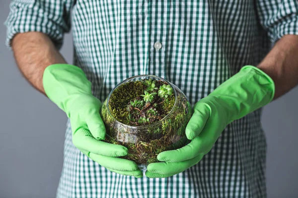 Gloved Man Holding Mini Succulent Garden Glass Florarium Closeup — Stock Photo, Image
