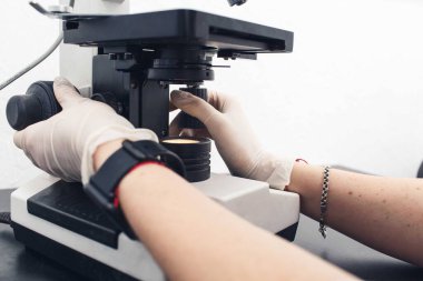 Laboratuvar asistanının ellerinin yakın plan çekimi mikroskobu araştırma için ayarlar.