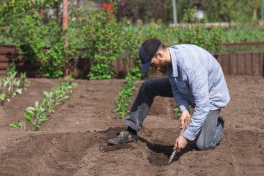 Bahçıvan küçük bir bahçe malasıyla toprağı eşeliyor.