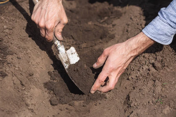 Jardinier creuse des trous dans le sol avec une petite truelle de jardin, fermer — Photo