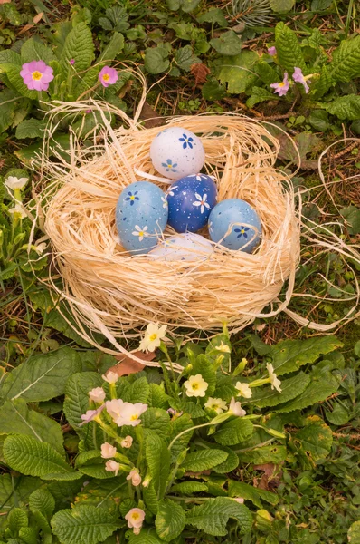 Easter eggs in a nest at spring flowers field — Stock Photo, Image