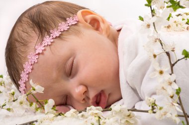 Bahar çiçeği Erik çiçekleri, uyuyan bebek