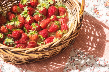 Řecko s vysokým rozlišením vůdce koncept