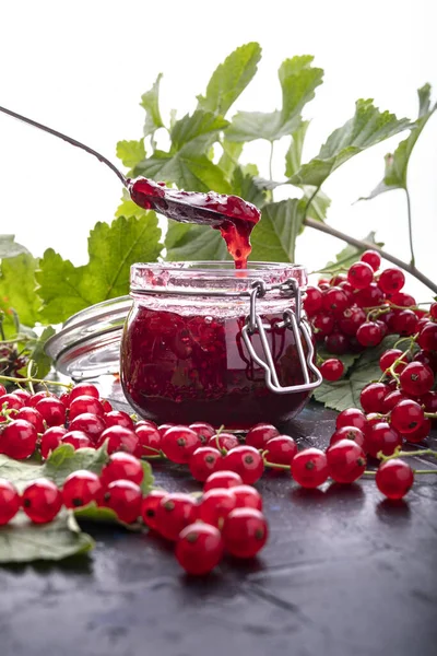 Homemade red currant jam preparation with fresh fruits