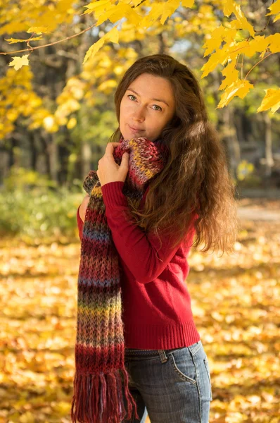 Tarka kendő őszi erdő nő — Stock Fotó