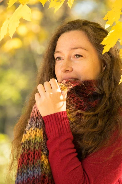 Nő, barna haj, az őszi erdő — Stock Fotó