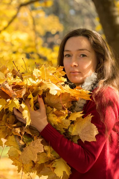 Nő a gazdaság sárga maple leafs: őszi erdő — Stock Fotó