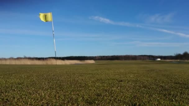 Golfspielball Blieb Der Nähe Des Lochs Stehen — Stockvideo