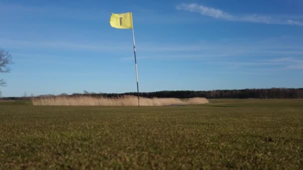 Balle Rouler Sur Terrain Golf — Video