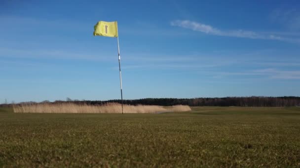 Golf Sahasında Top Yuvarlanıyor — Stok video