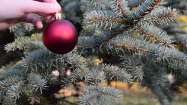 Çocuk ağacı yeni yıl oyuncaklarıyla süslüyor.