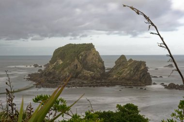 Güney Adası, Yeni Zelanda 'nın batı kıyısında engebeli bir sahil.