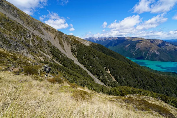 Nelson Lakes Ulusal Parkı Yeni Zelanda Daki Arnaud Sıradağları Nın — Stok fotoğraf