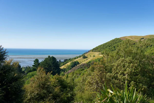 Utsikt Från Centrum Nya Zeeland Staden Nelson Sydön Nya Zeeland — Stockfoto
