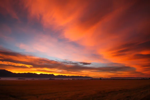 Montana berg Sunrise Royaltyfria Stockbilder