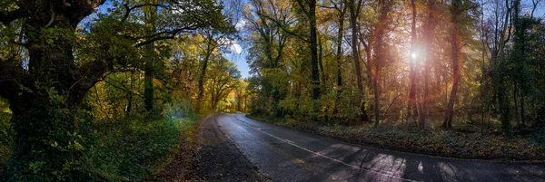 Panoramische Foto Van Een Weg Door Bos Herfst — Stockfoto