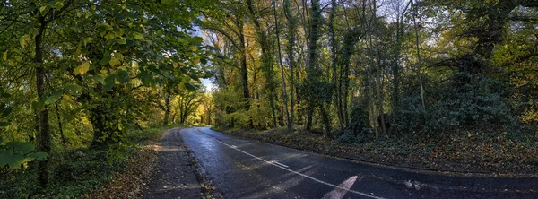 Panoramafoto Einer Straße Die Herbst Durch Den Wald Führt — Stockfoto