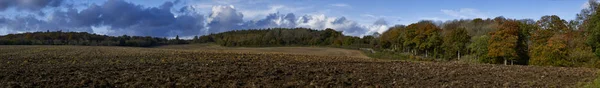 Photographie Panoramique Champ Labouré Avec Des Arbres Automne Arrière Plan — Photo