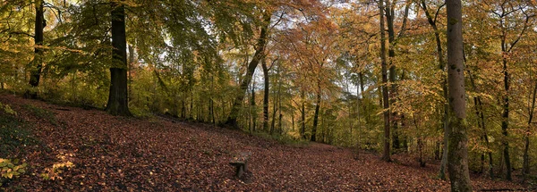 Panoramische Foto Van Houten Bankje Midden Bos Herfst — Stockfoto