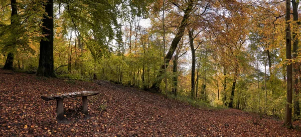 Panoramische Foto Van Houten Bankje Midden Bos Herfst — Stockfoto