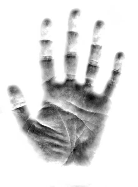 Outline of hand print on white background showing palm