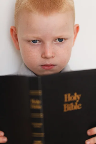 Malý chlapec čtení Holy Bible — Stock fotografie