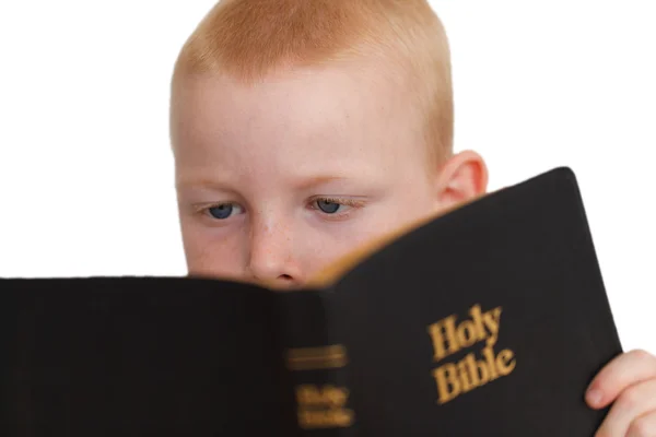 Niño leyendo la Sagrada Biblia — Foto de Stock