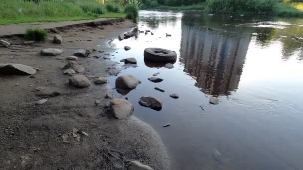 车胎在河里关于人们对环境的态度的生态问题 — 图库视频影像