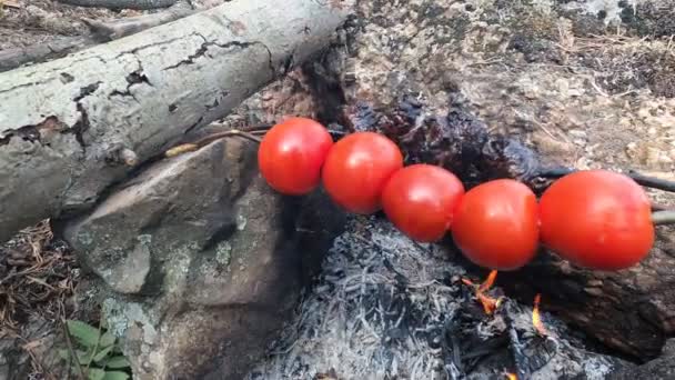 Carne Los Tomates Cocinan Sobre Fuego Delicioso Plato Que Prepara — Vídeos de Stock