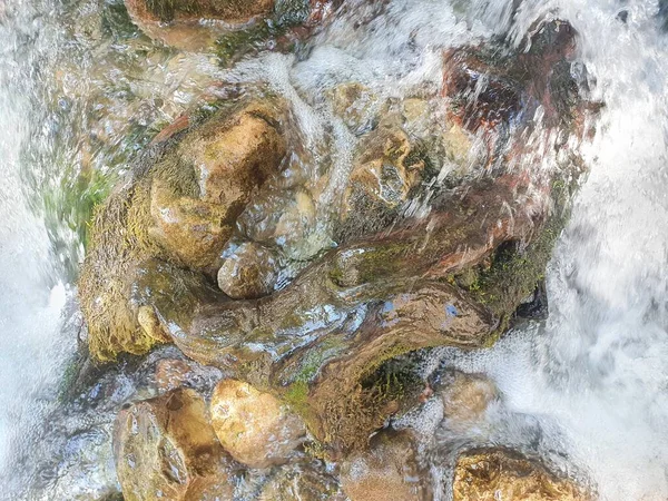 Pure river water flows between rocks and tree roots. The beautiful atmosphere is created by nature.