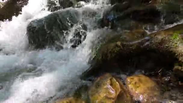 Una Corriente Rápida Agua Fluye Entre Piedras Raíces Árboles Hermosa — Vídeos de Stock