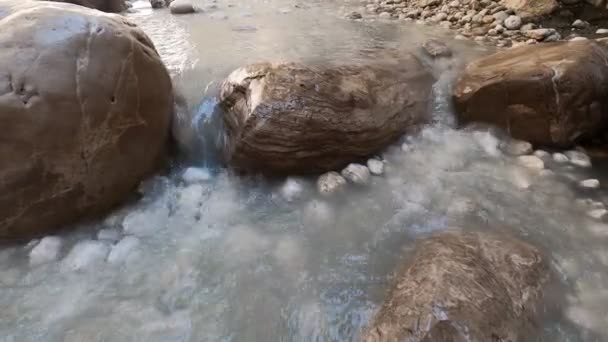 Curso Pequeno Rio Montanha Água Flui Rapidamente Entre Pedras Uma — Vídeo de Stock