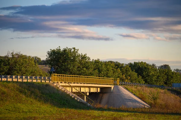 Road bridge in sunset rays — Stock Photo, Image