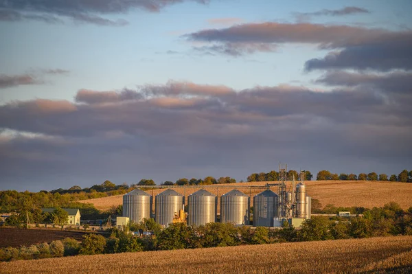 Silos de armazenamento de grãos, tanques de metal brilhantes para grãos na estação ferroviária de Rogojeni, na Moldávia — Fotografia de Stock